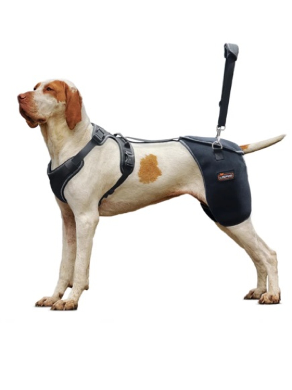 Lispoo Dog Hip Support Brace-Adjustable Dog Leg Brace for Hip Dysplasia-L